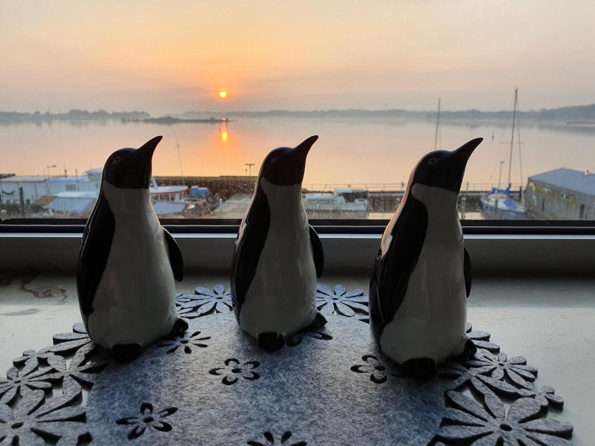 Ferienwohnung Schleiloge Mit Panoramablick Auf Die Schlei Schleswig Esterno foto